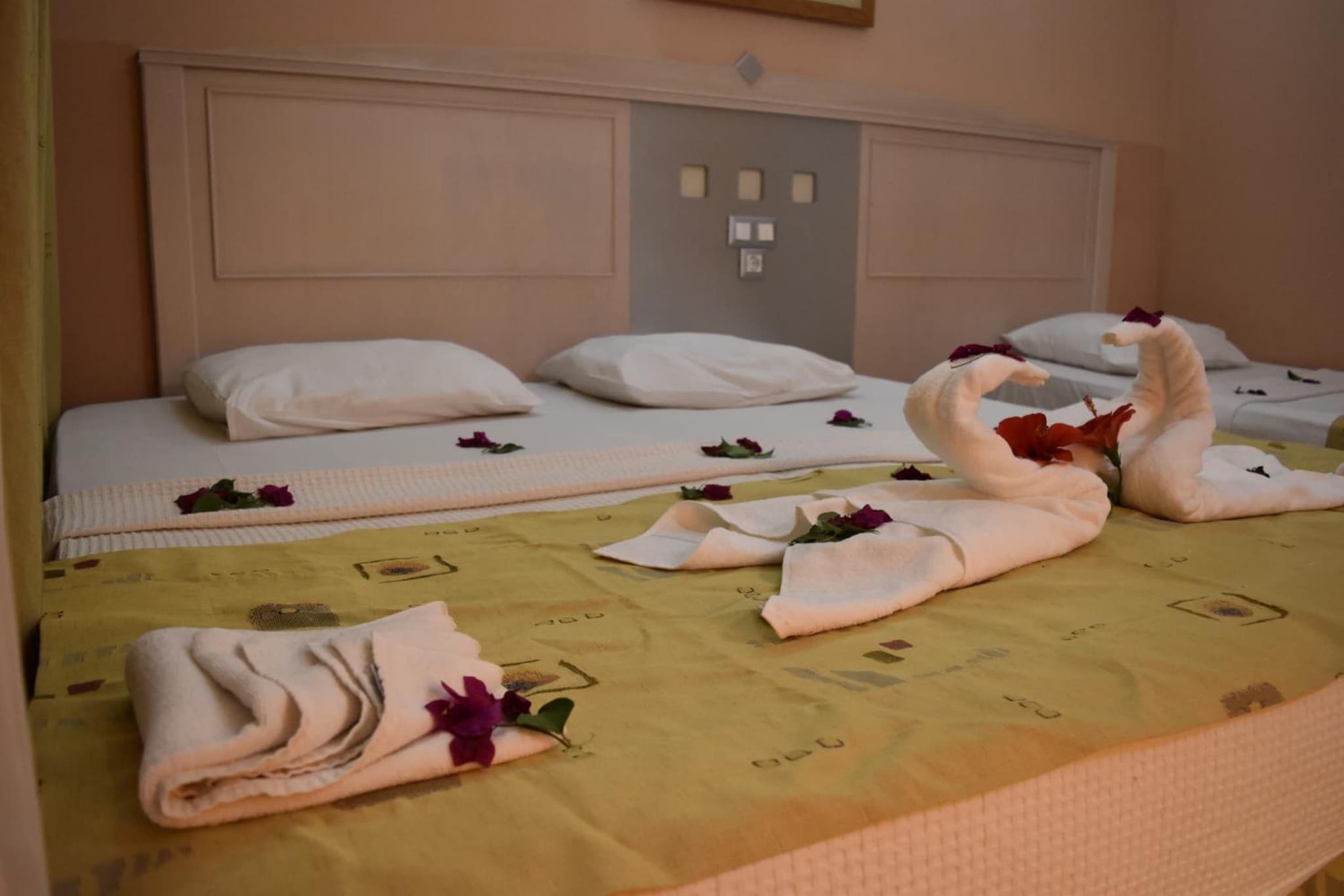 Ares Dream Otel - Image 4
