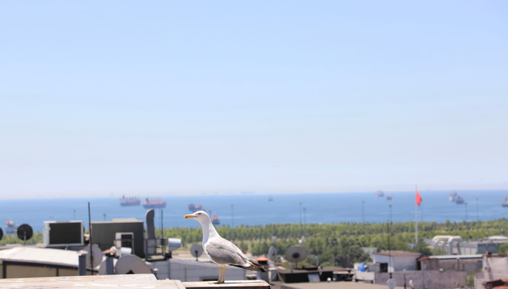 Istanbul Royal Hotel - Image 1