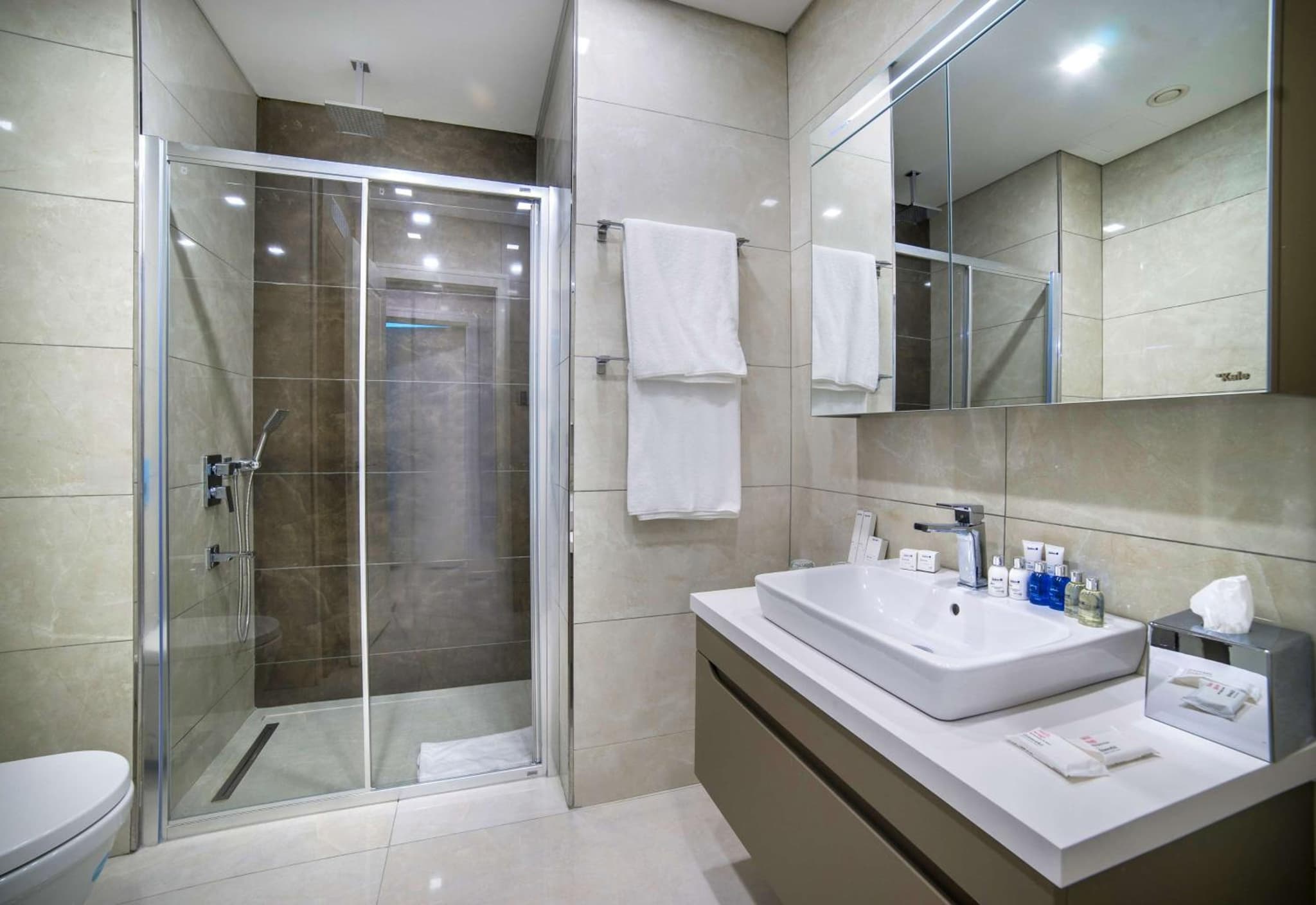 Radisson Residences Vadistanbul - Image 4