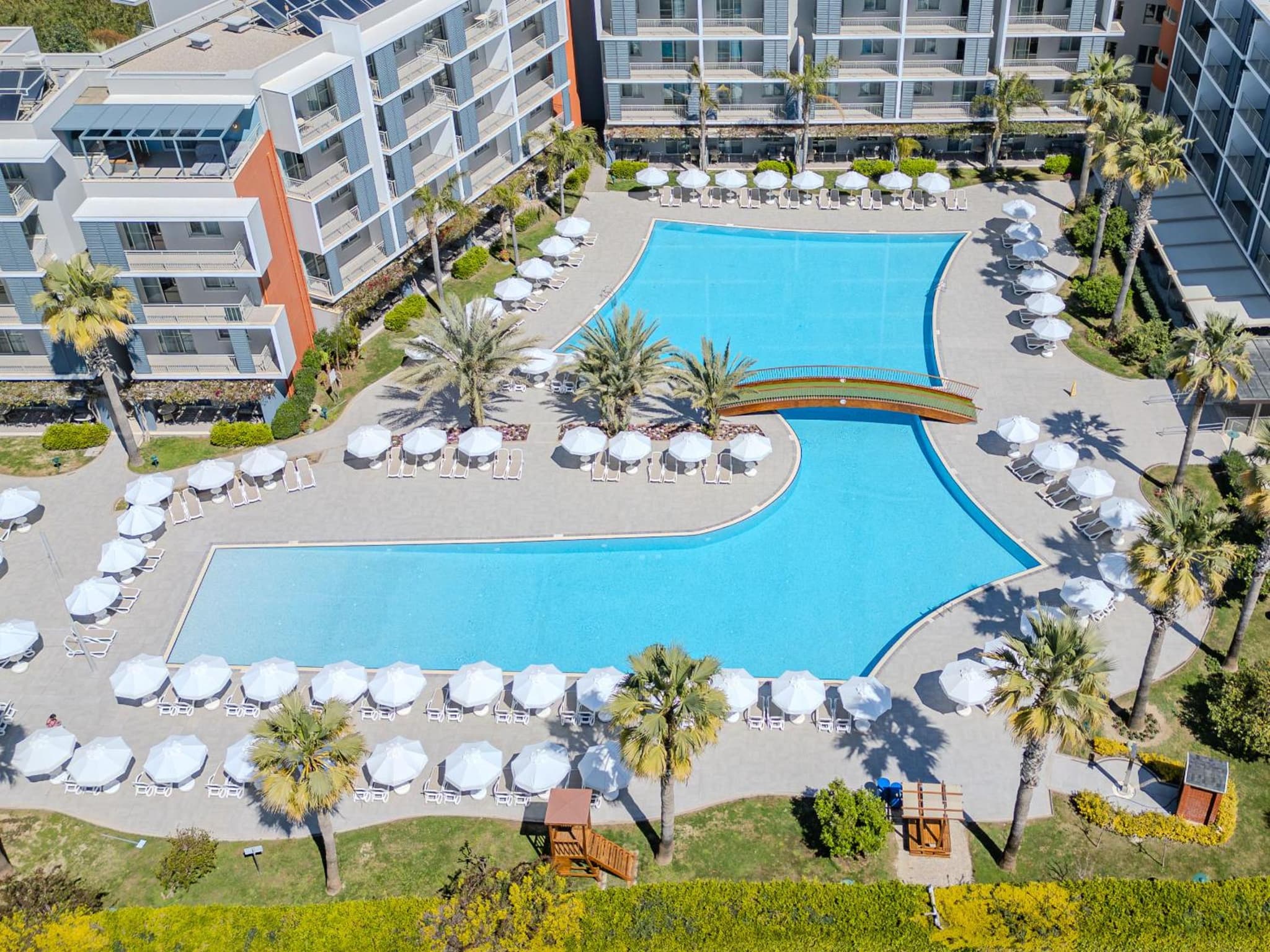 Barut GOIA - Image 3