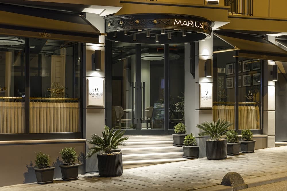 Marius Otel - Image 2
