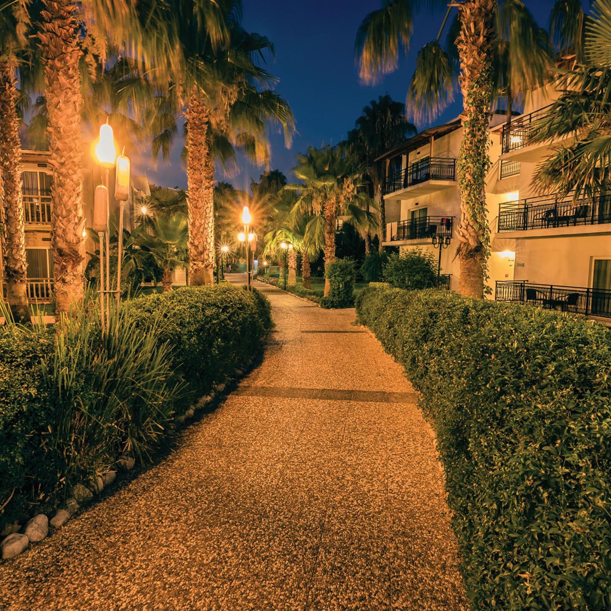 Paloma Oceana - Image 4