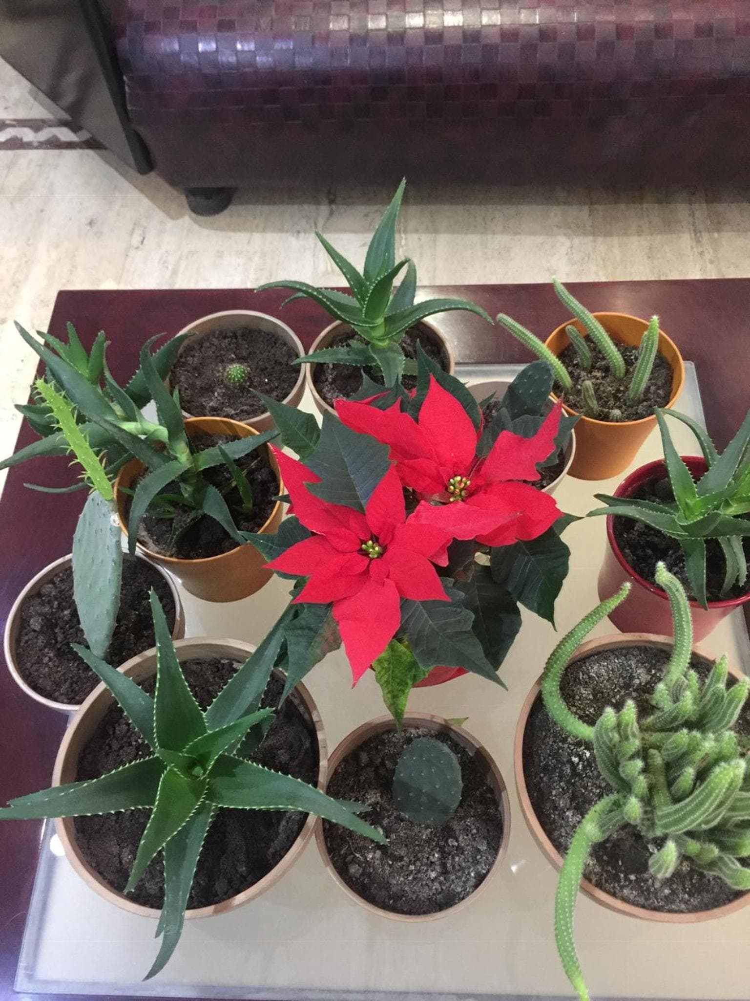 Balca Otel - Image 4