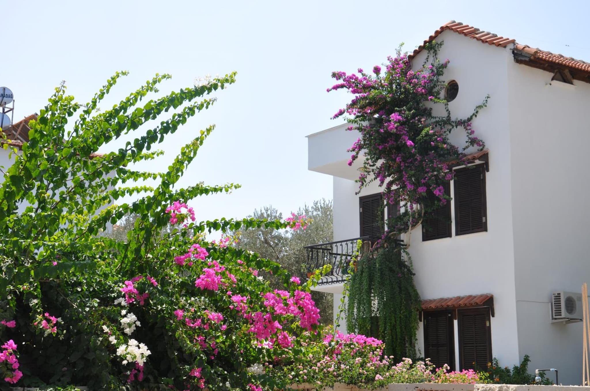 Papermoon Hotel & Apartments - Image 1