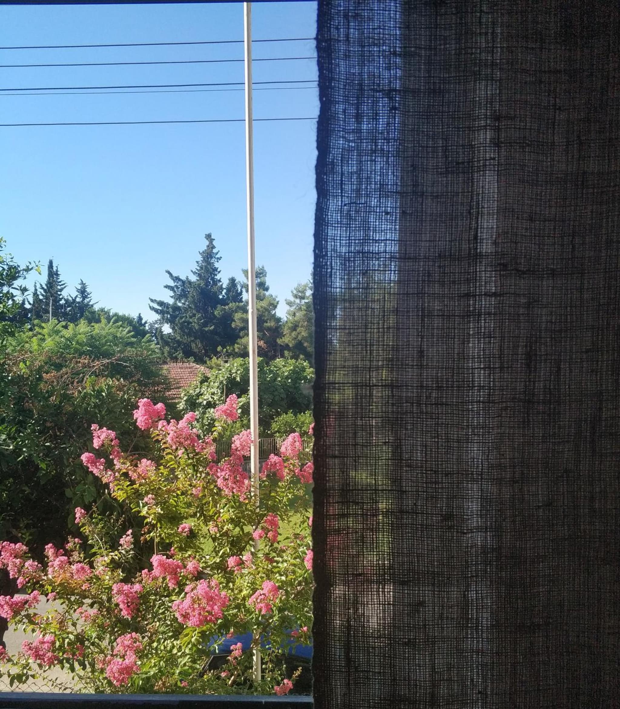 El Mundo Suites - Image 1