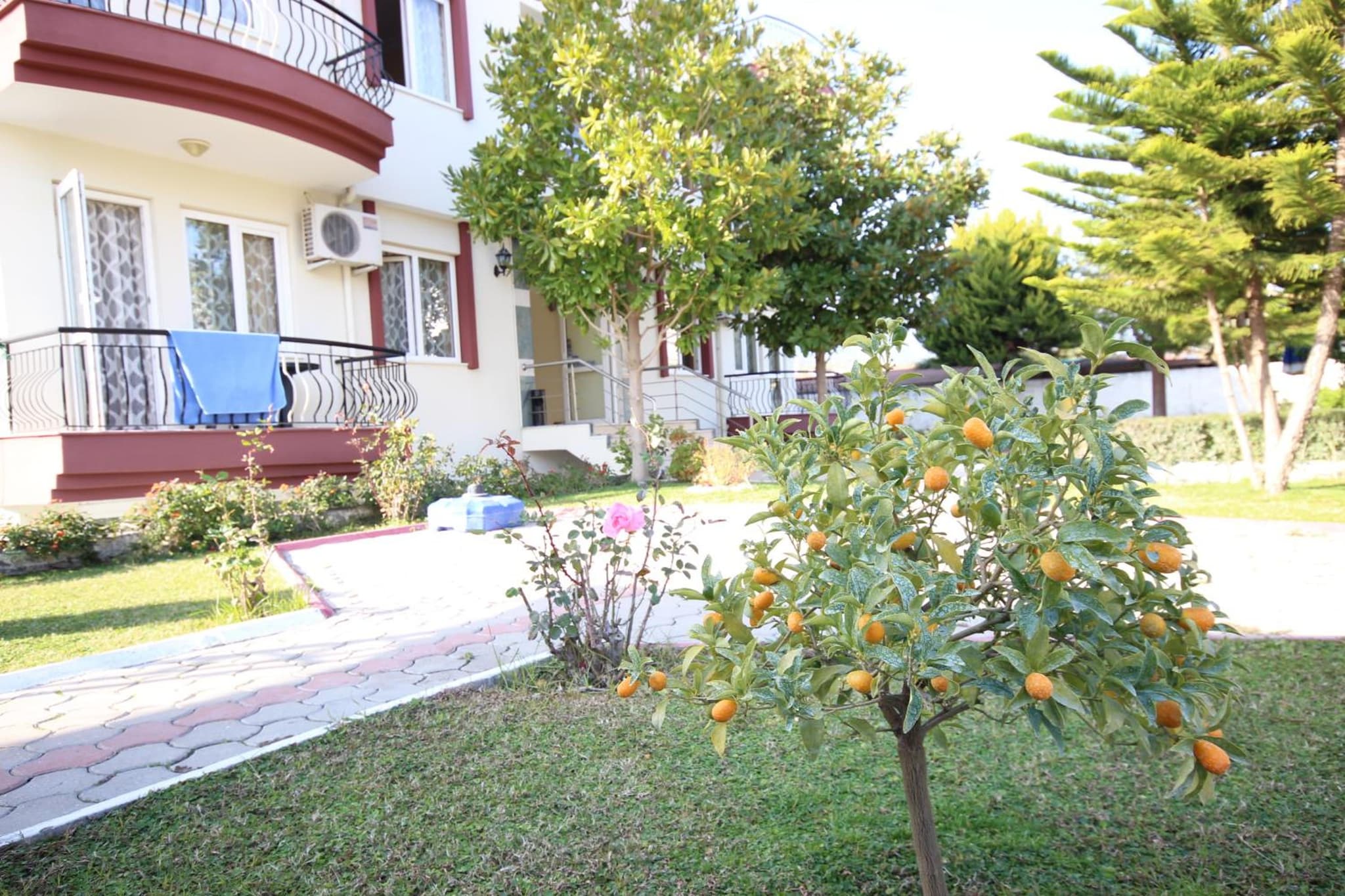 Minta Apart Hotel - Image 3