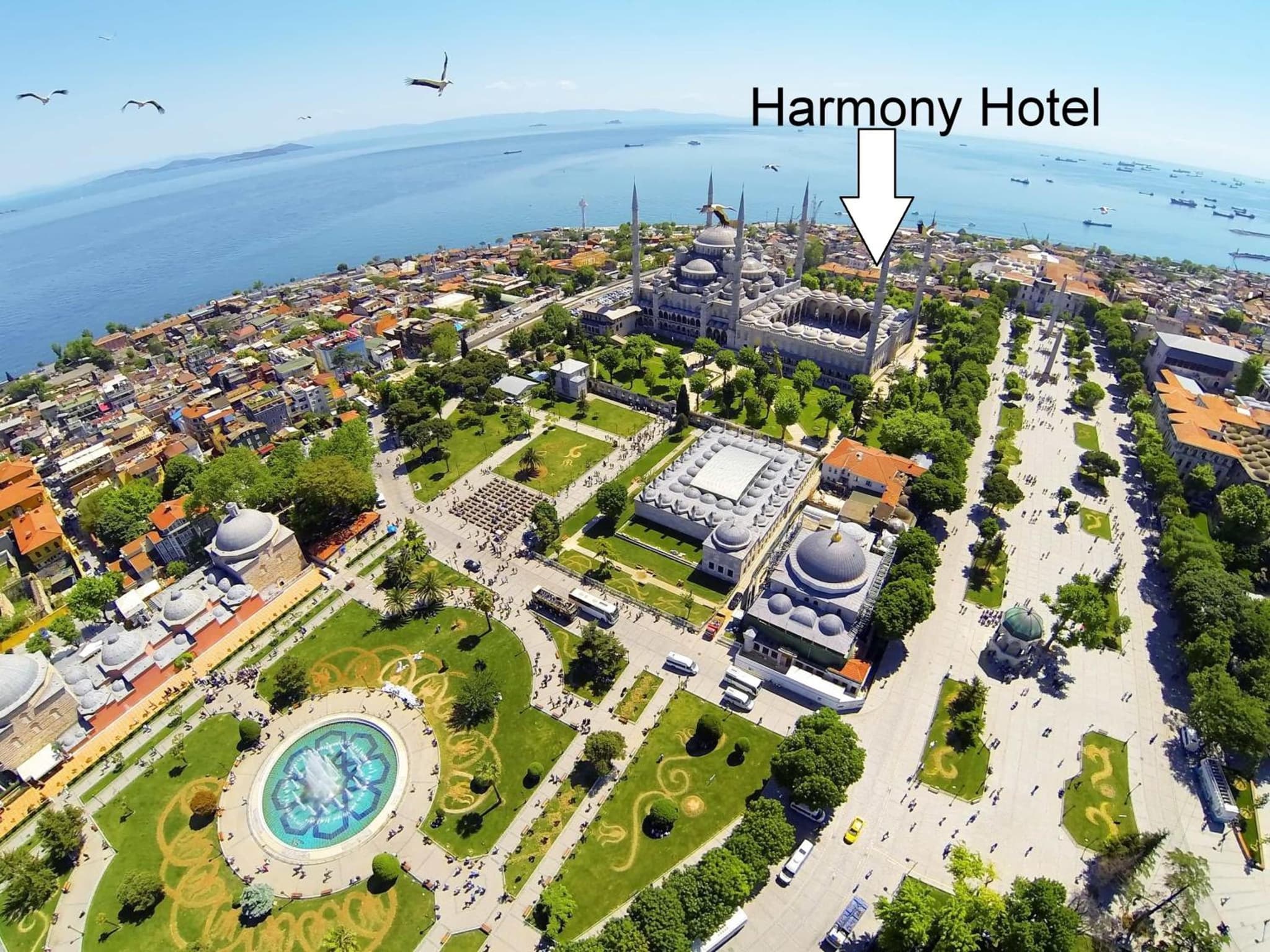 Harmony Istanbul - Image 1