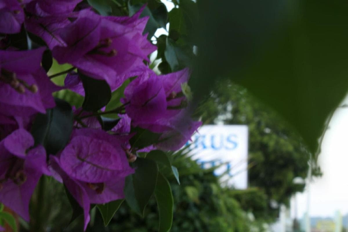 Parus Hotel - Image 1