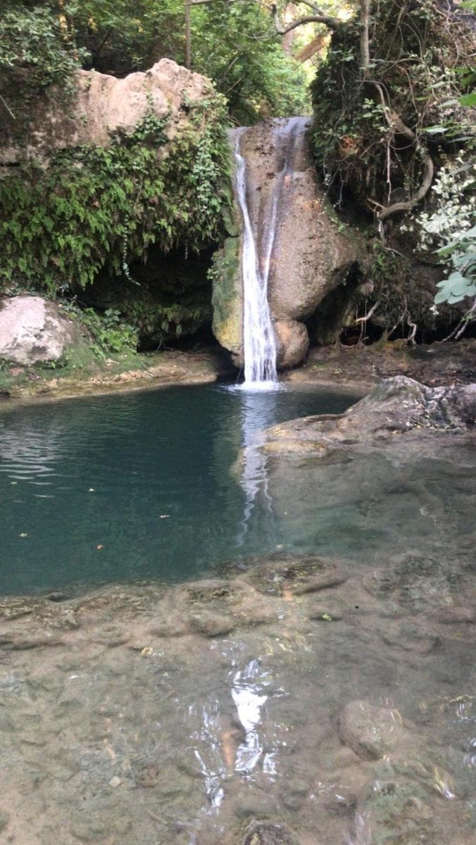 MaviMaris Doğa Evleri fotoğrafı