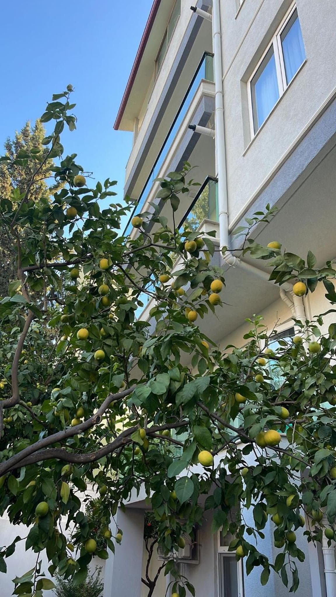 ABC Apart Otel - Image 2