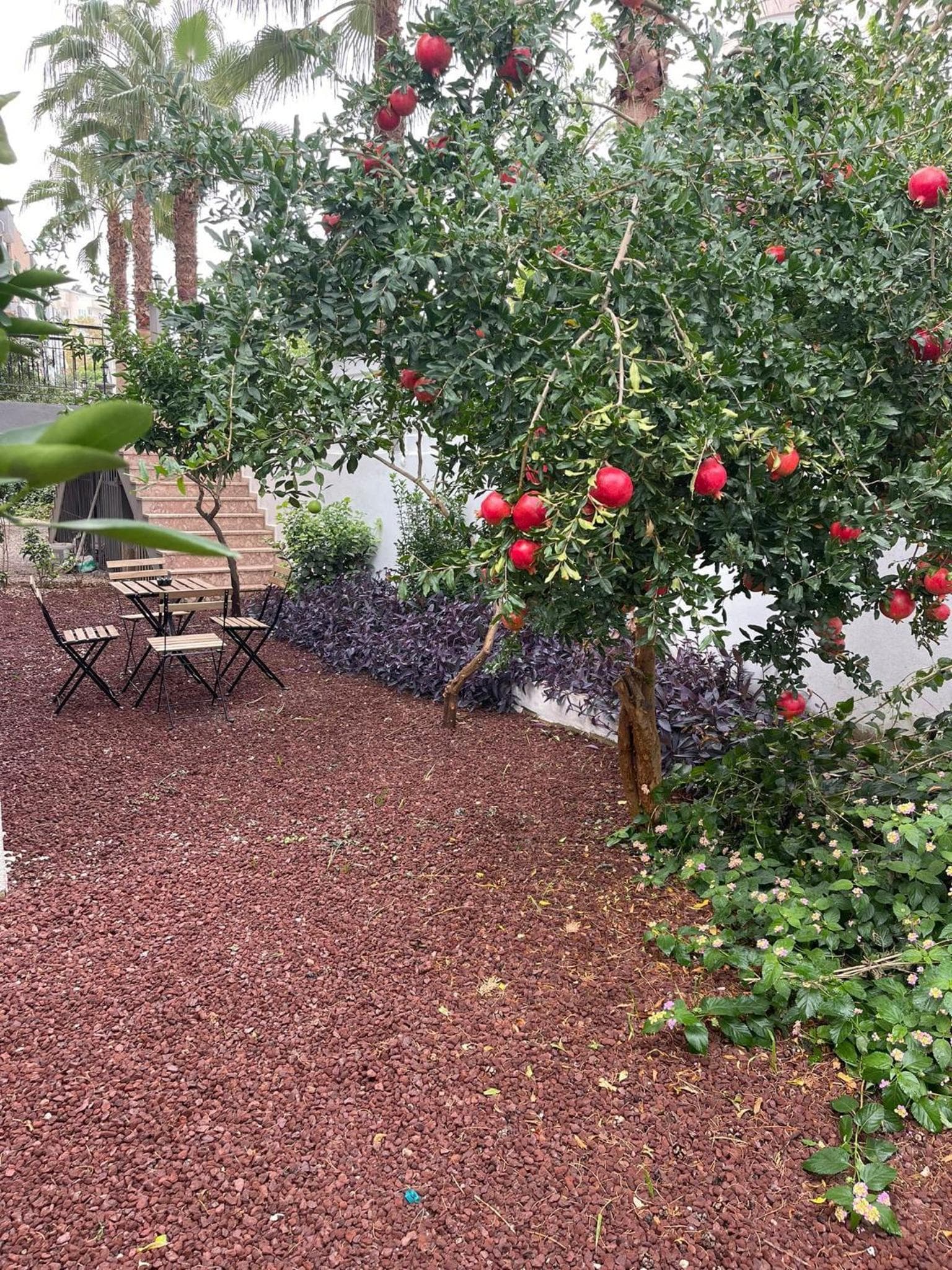 ABC Apart Otel - Image 4