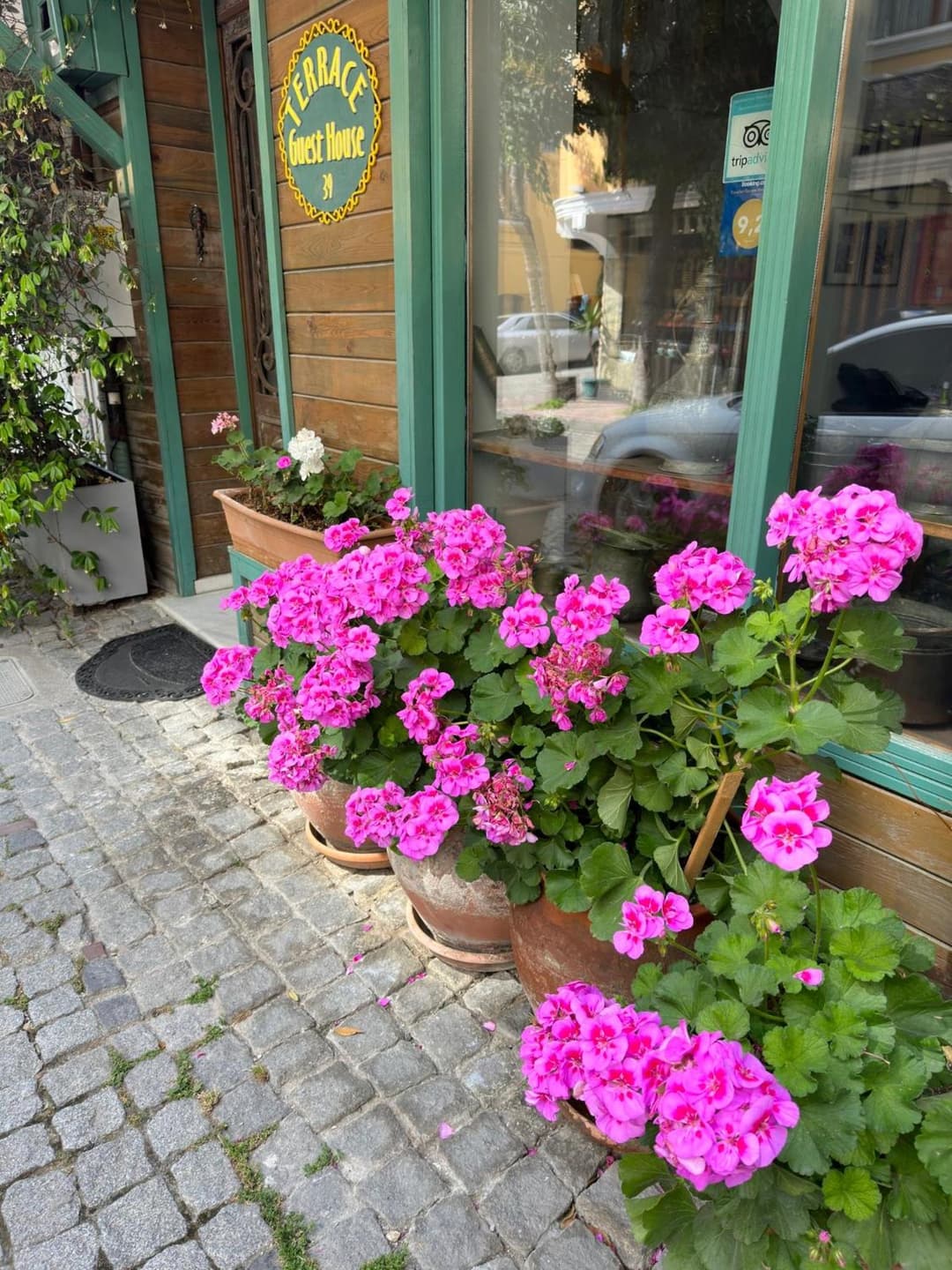 Terrace Guesthouse fotoğrafı