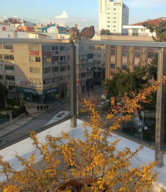 Old Town Grand Apart Otel - Image 4