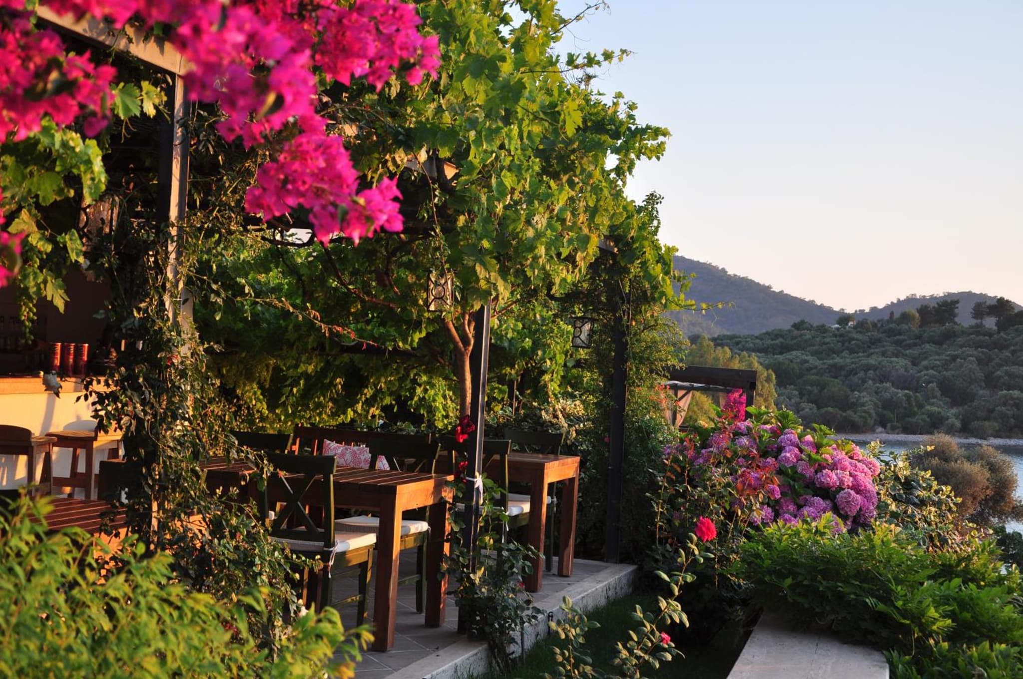 Ece Otel Sovalye Adası - Image 2