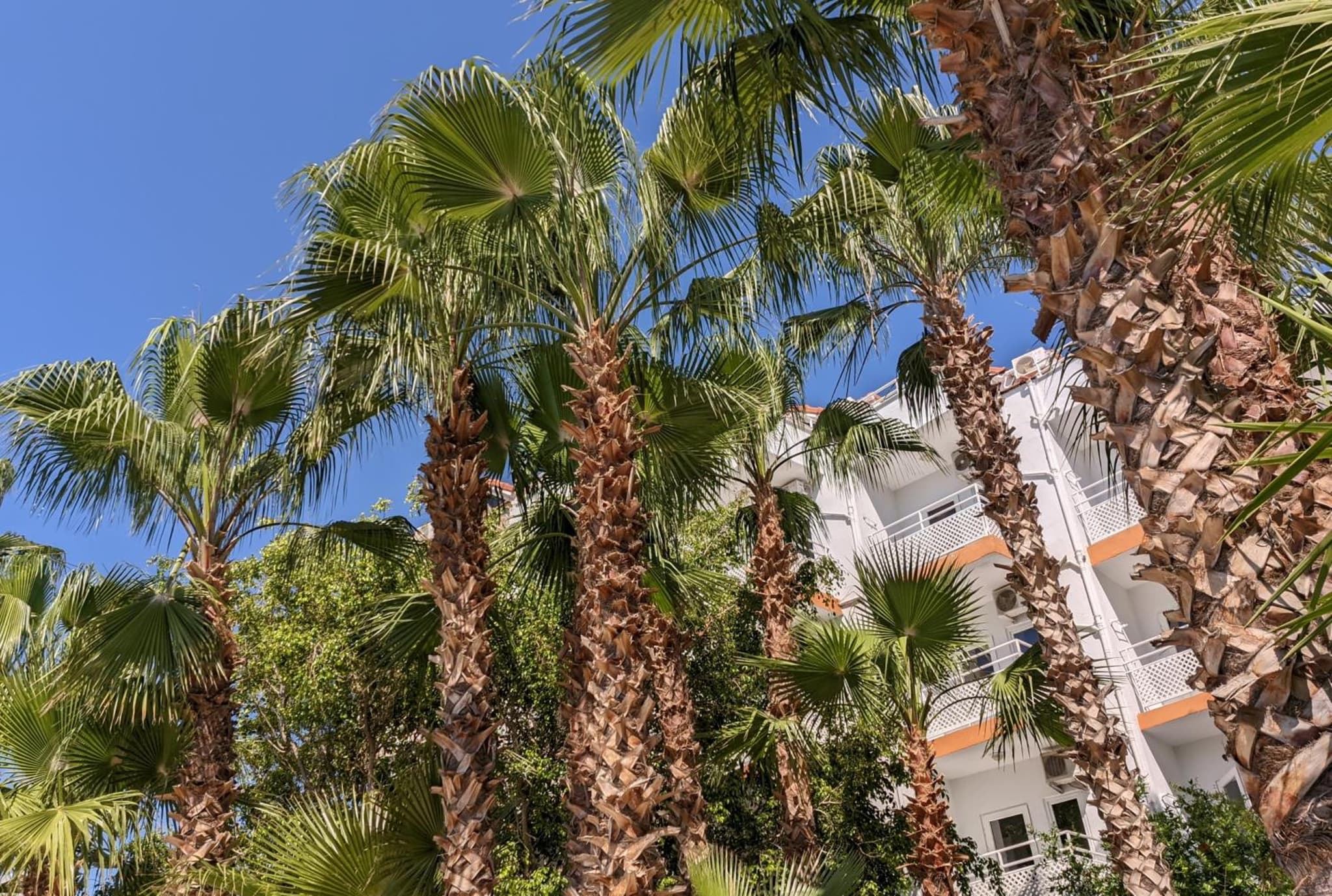 UK Otel Kiriş - Image 2