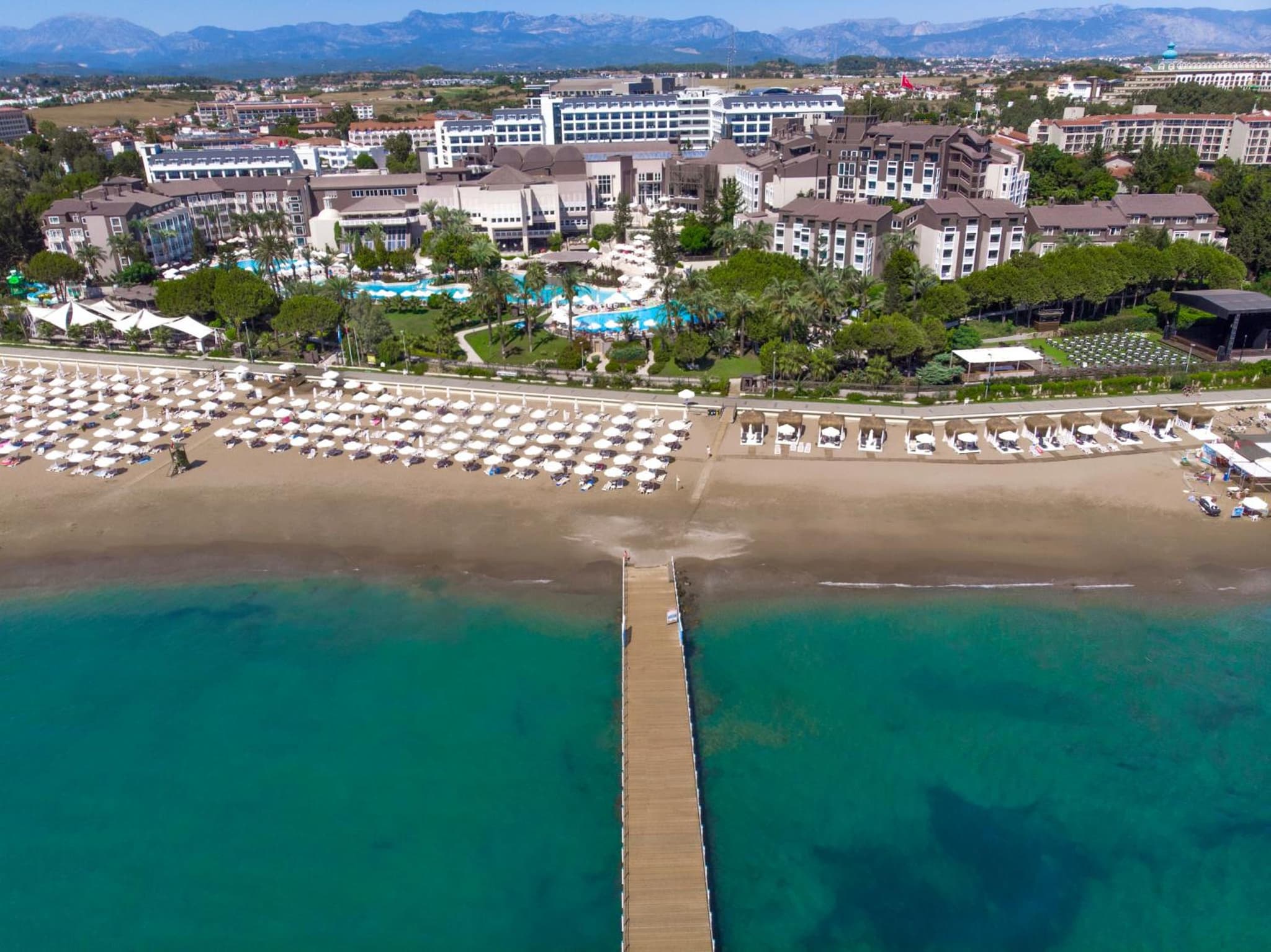 Paloma Perissia - Image 1