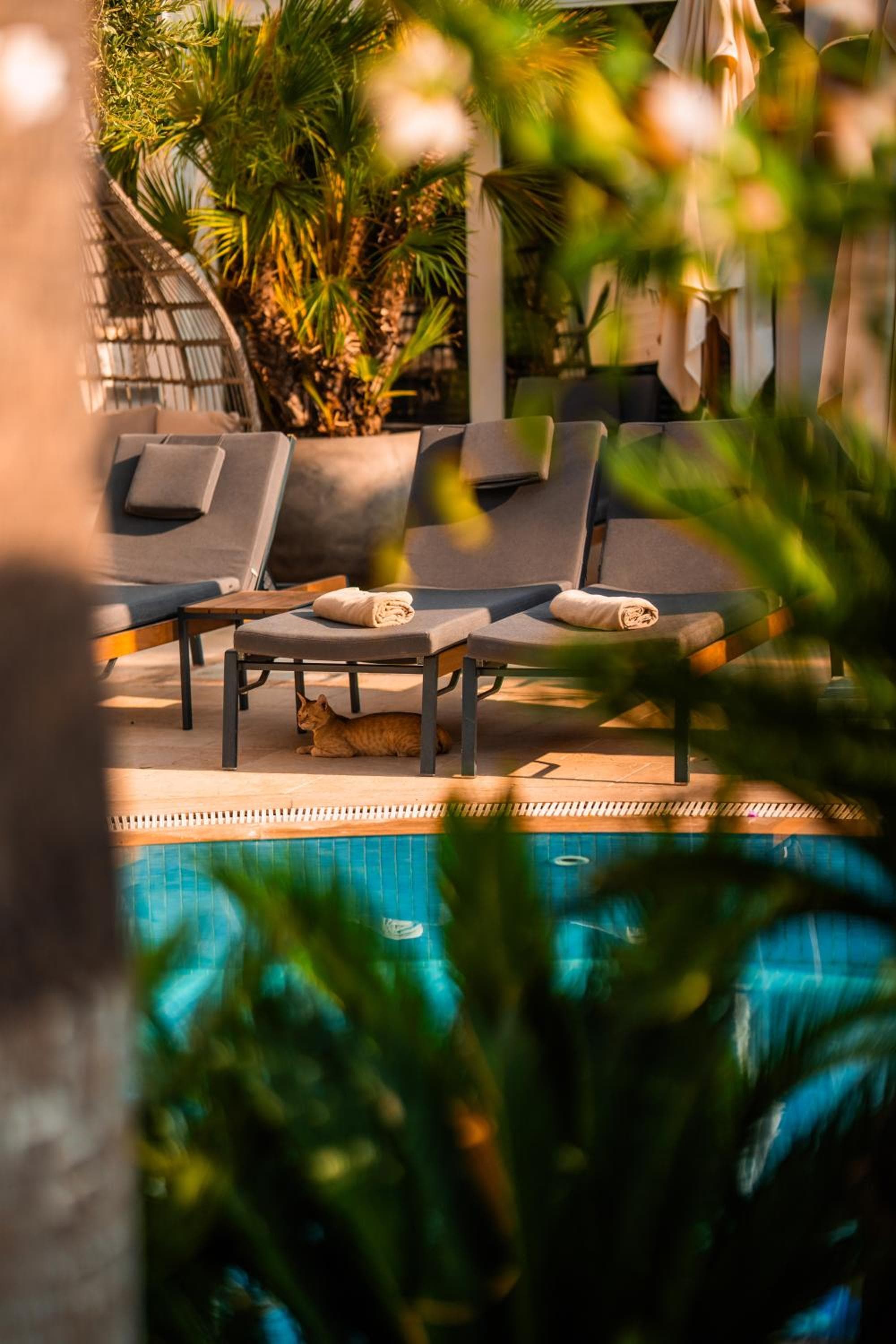 Elegance East Hotel - Image 3