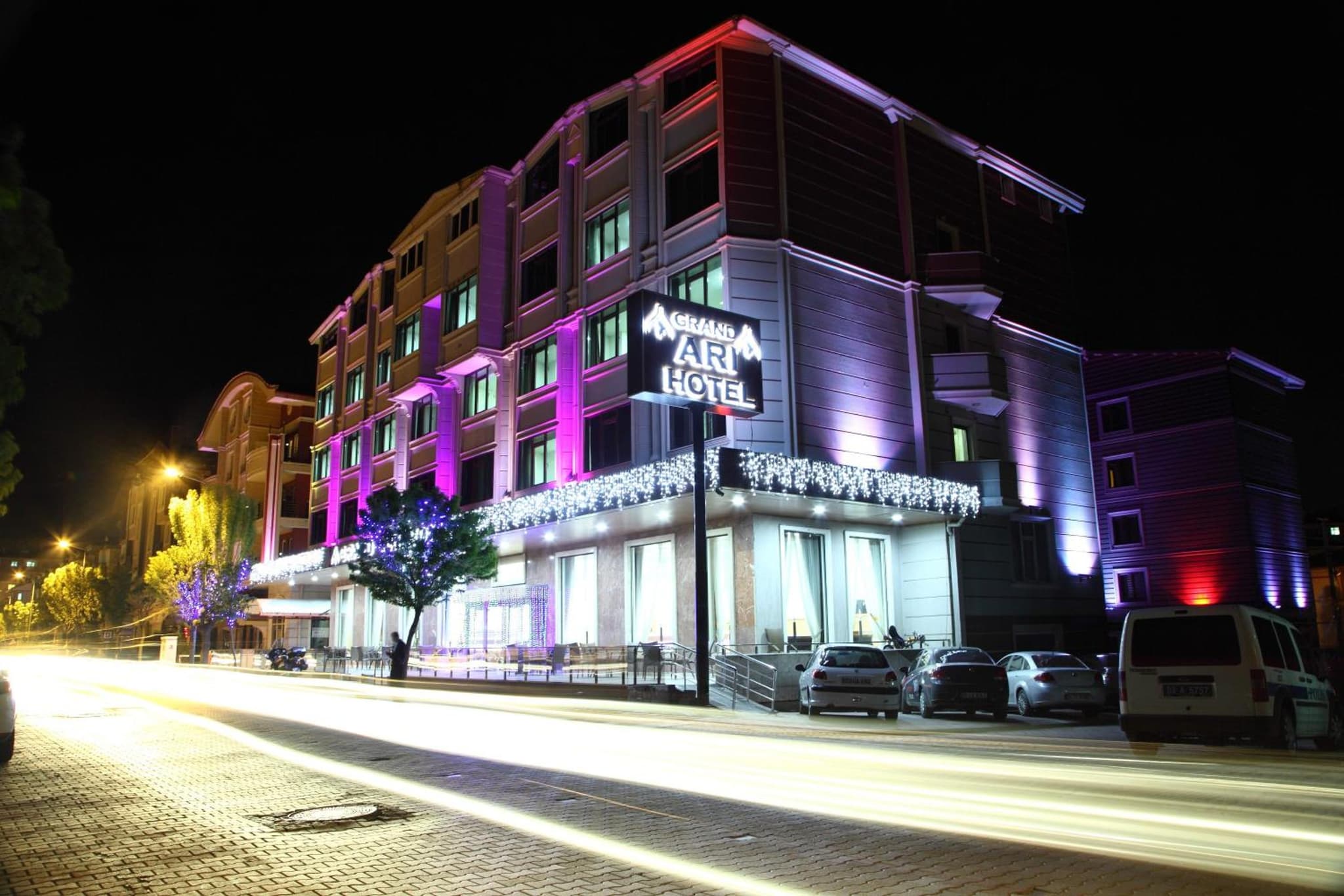 Afyon Grand Ari Otel - Image 1