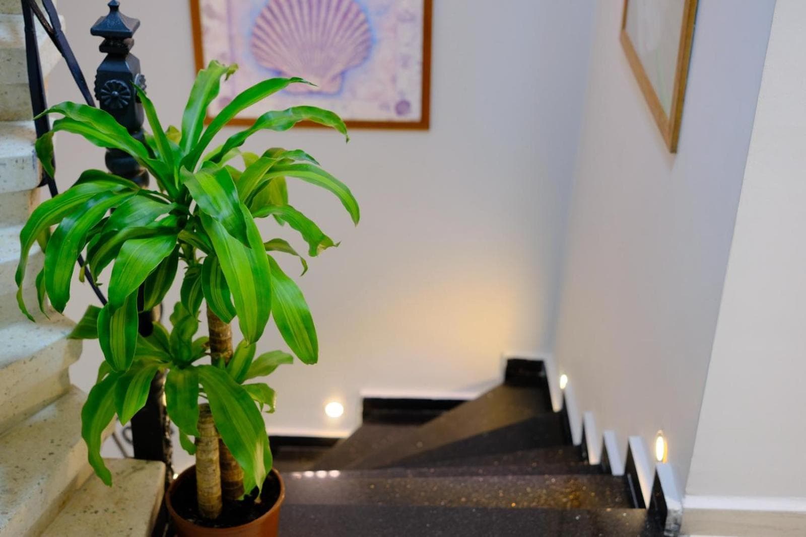 Golden Stone Otel - Image 3