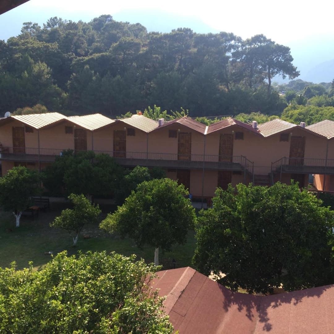 Woodline Hotel fotoğrafı