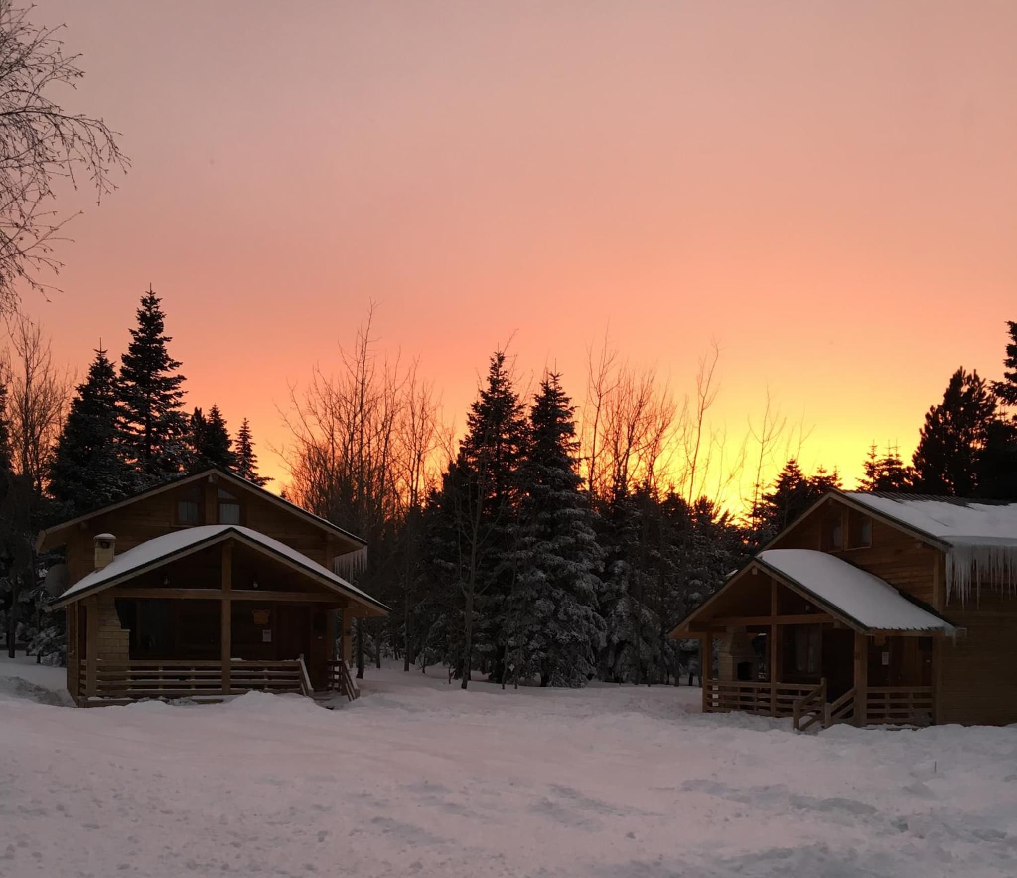 Uludag Orman Koskleri - Image 1