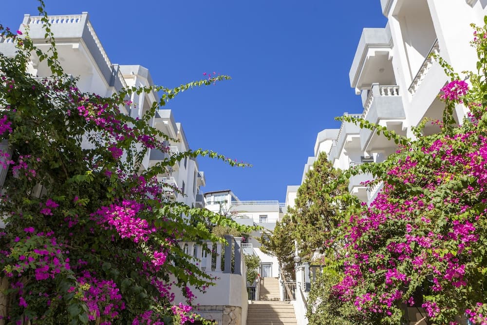 Smart Holiday Otel & Süitler - Her Şey Dahil - Image 1