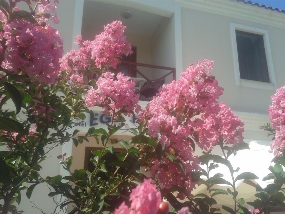 Ege Han Otel - Image 4
