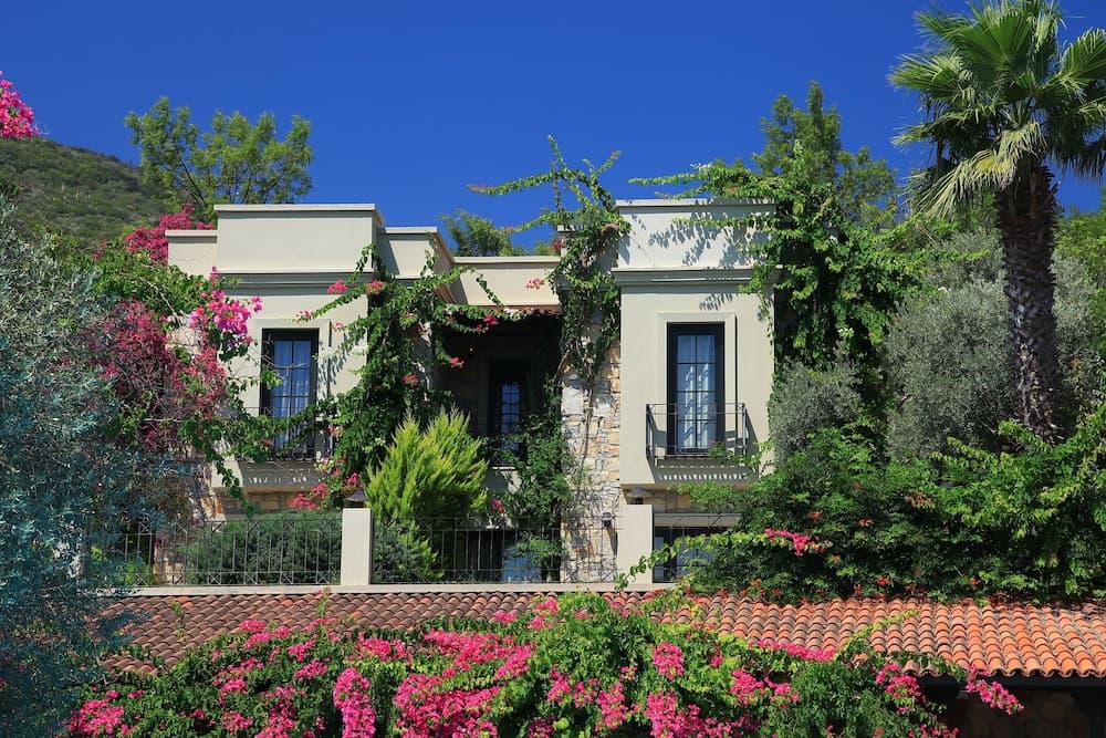 Hotel Zeytinada