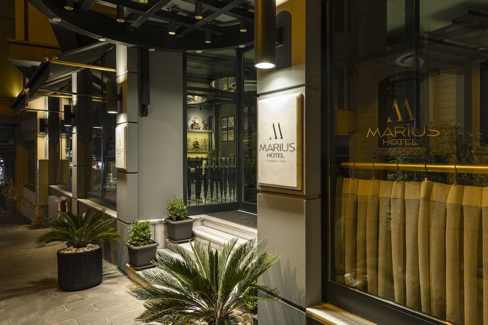 Marius Otel - Image 1