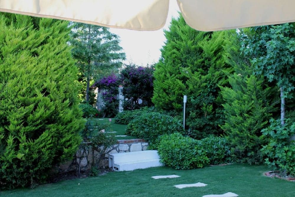 Bizim Ev Otel - Image 3