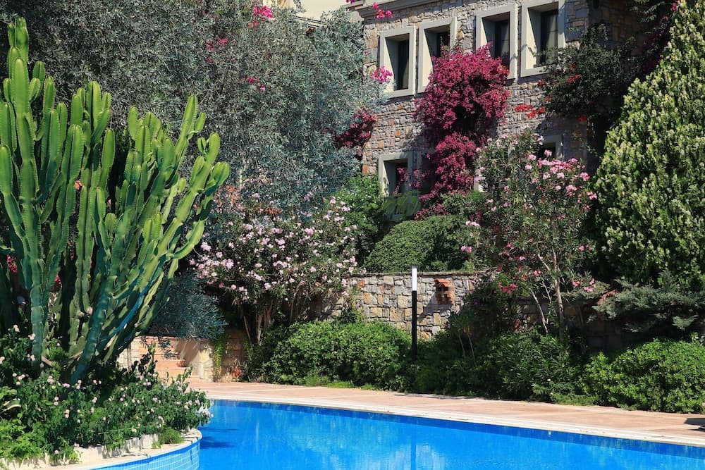 Zeytinada Otel - Image 4
