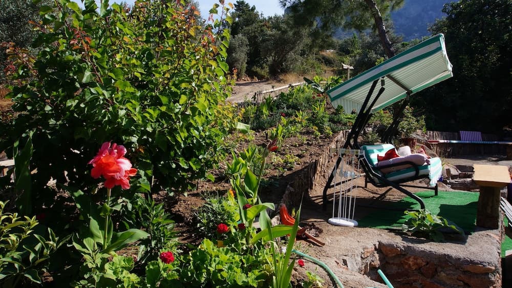 Shiva Kamp - Image 1