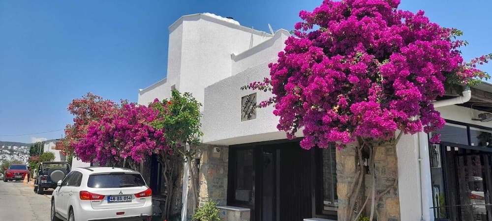 Ayhan Suite Hotel