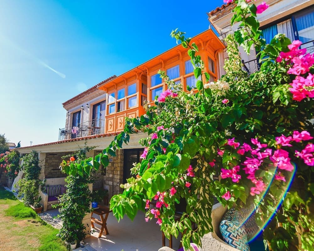 Moranka fotoğrafı
