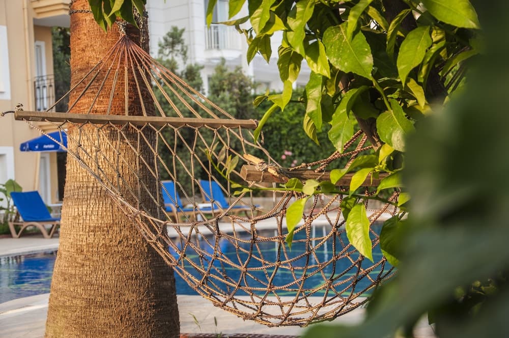 Turtle Apart Otel fotoğrafı