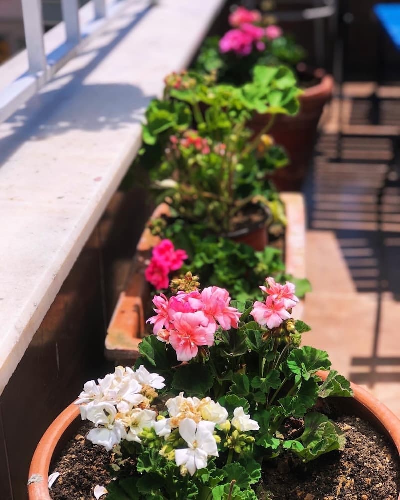 Avrasya Pansiyon - Image 4