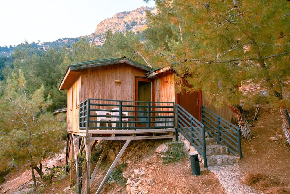Tree Houses fotoğrafı