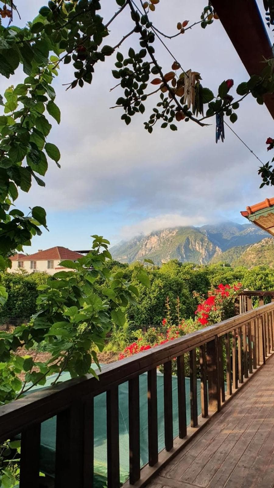 Flora Pansiyon Çıralı - Image 3