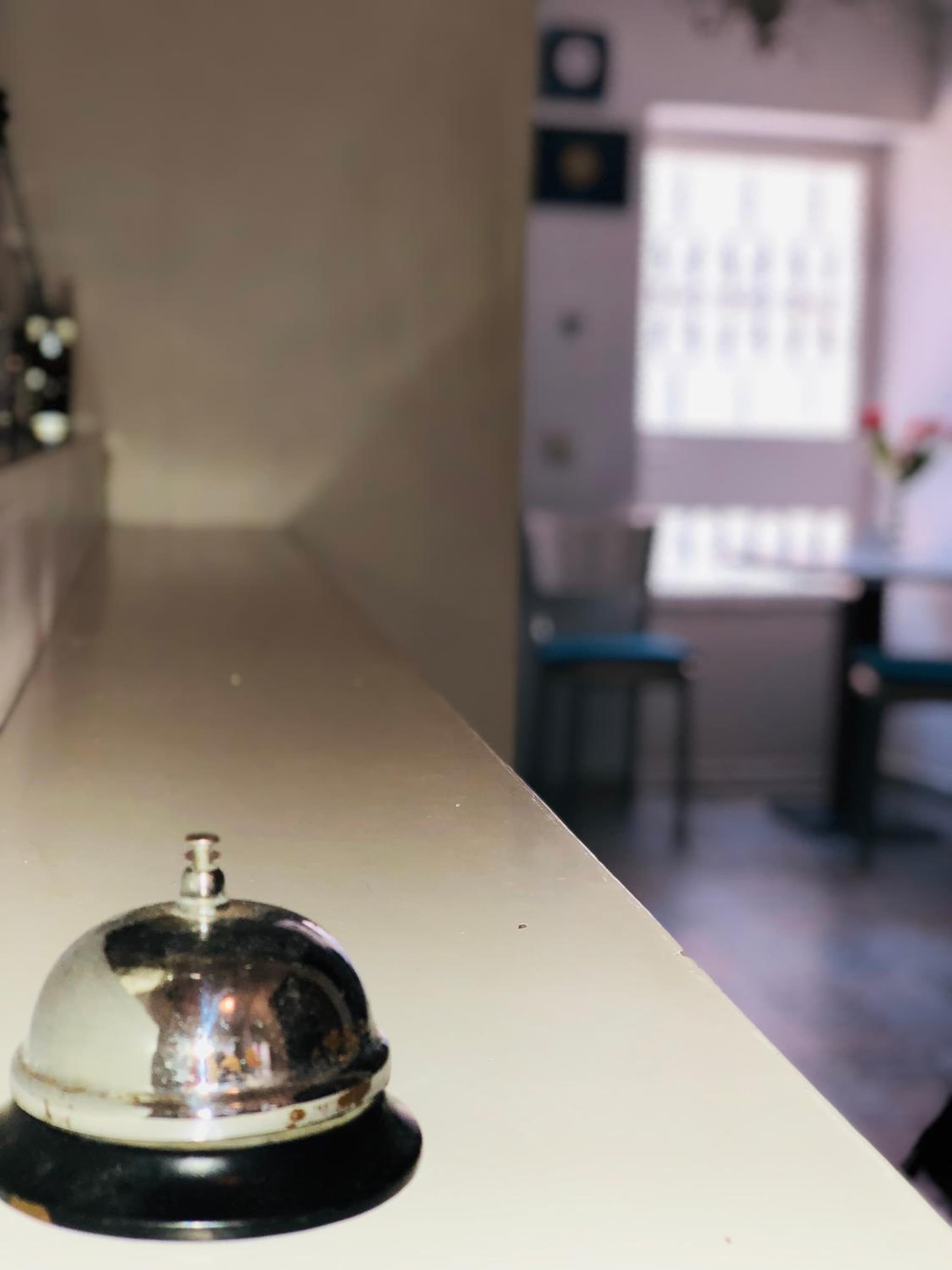 Tulpan Evi - Image 2