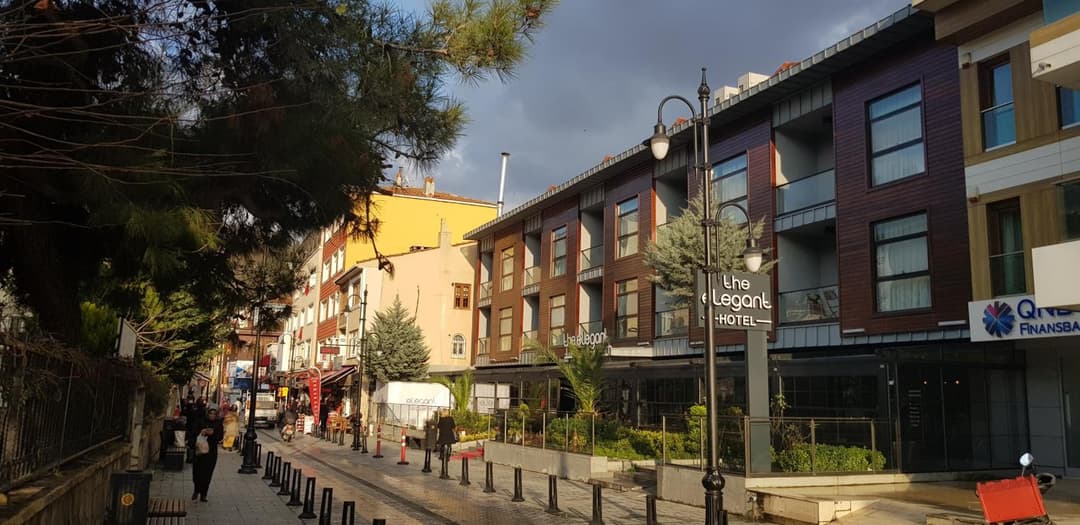 The Elegant Otel fotoğrafı