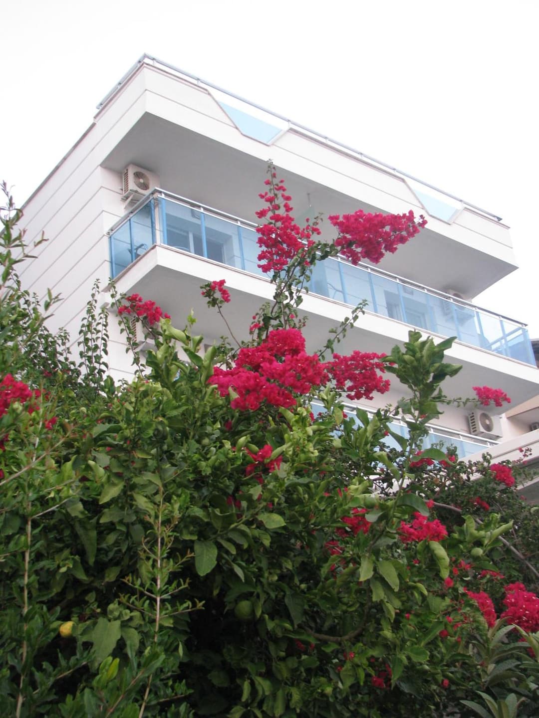 Rhapsody Hotel Kas fotoğrafı