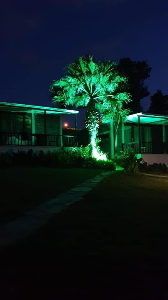 Palm Beach Şile Villa Hotels