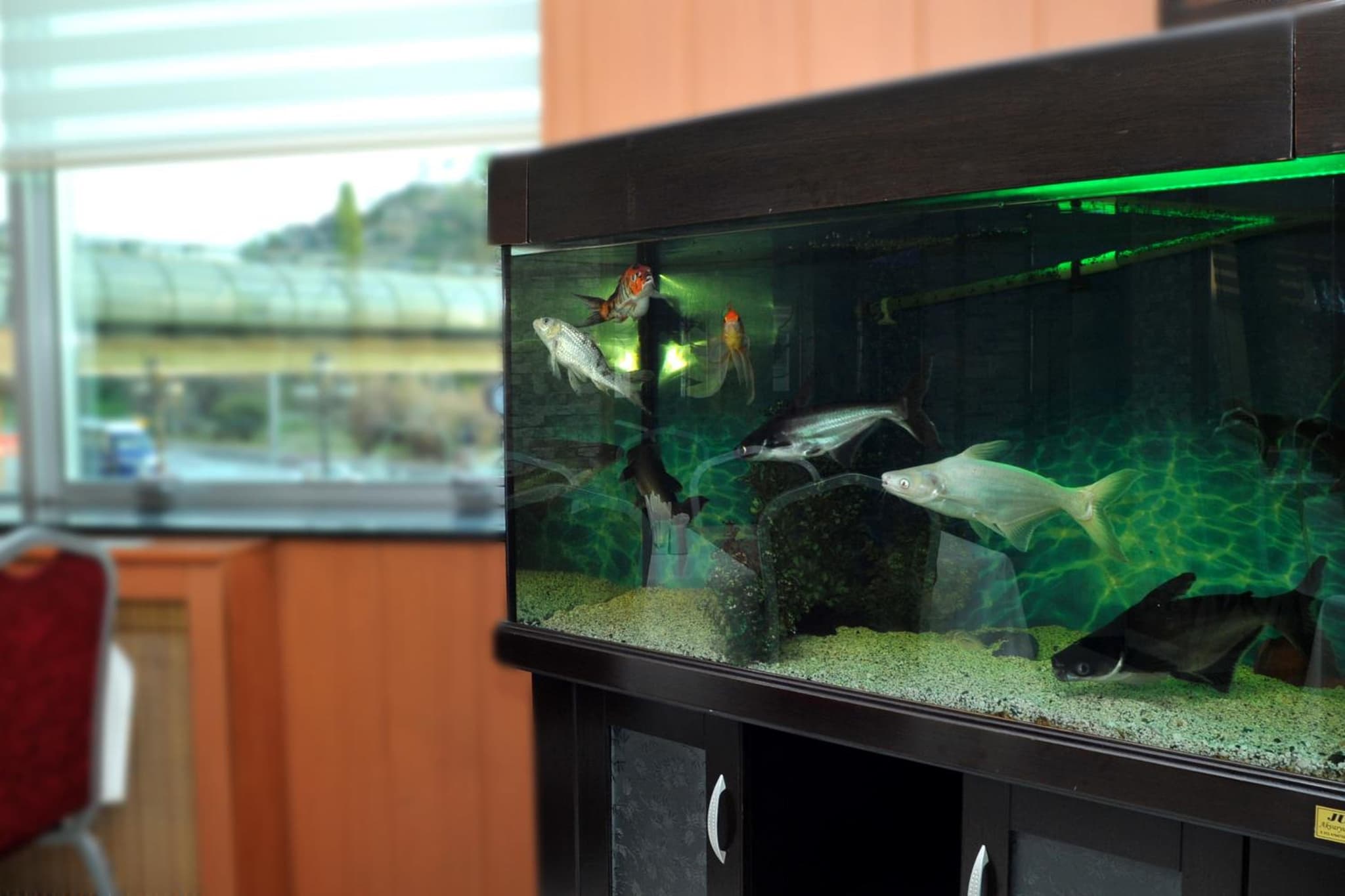 Lion City Hotel Ankara - Image 4