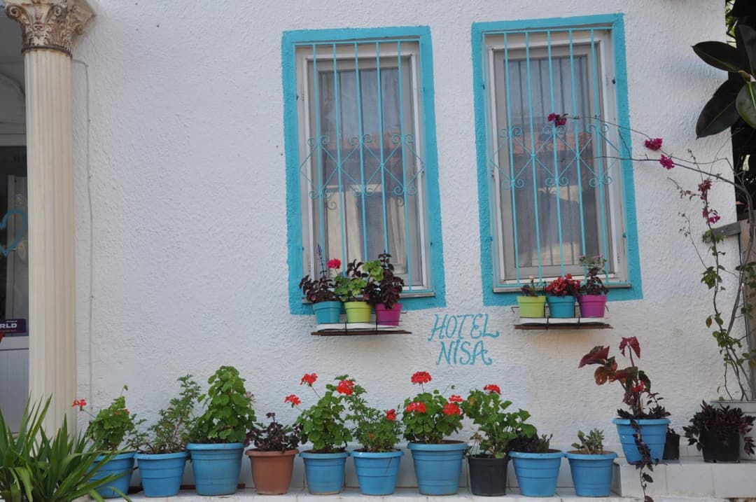 Hotel Nisa fotoğrafı