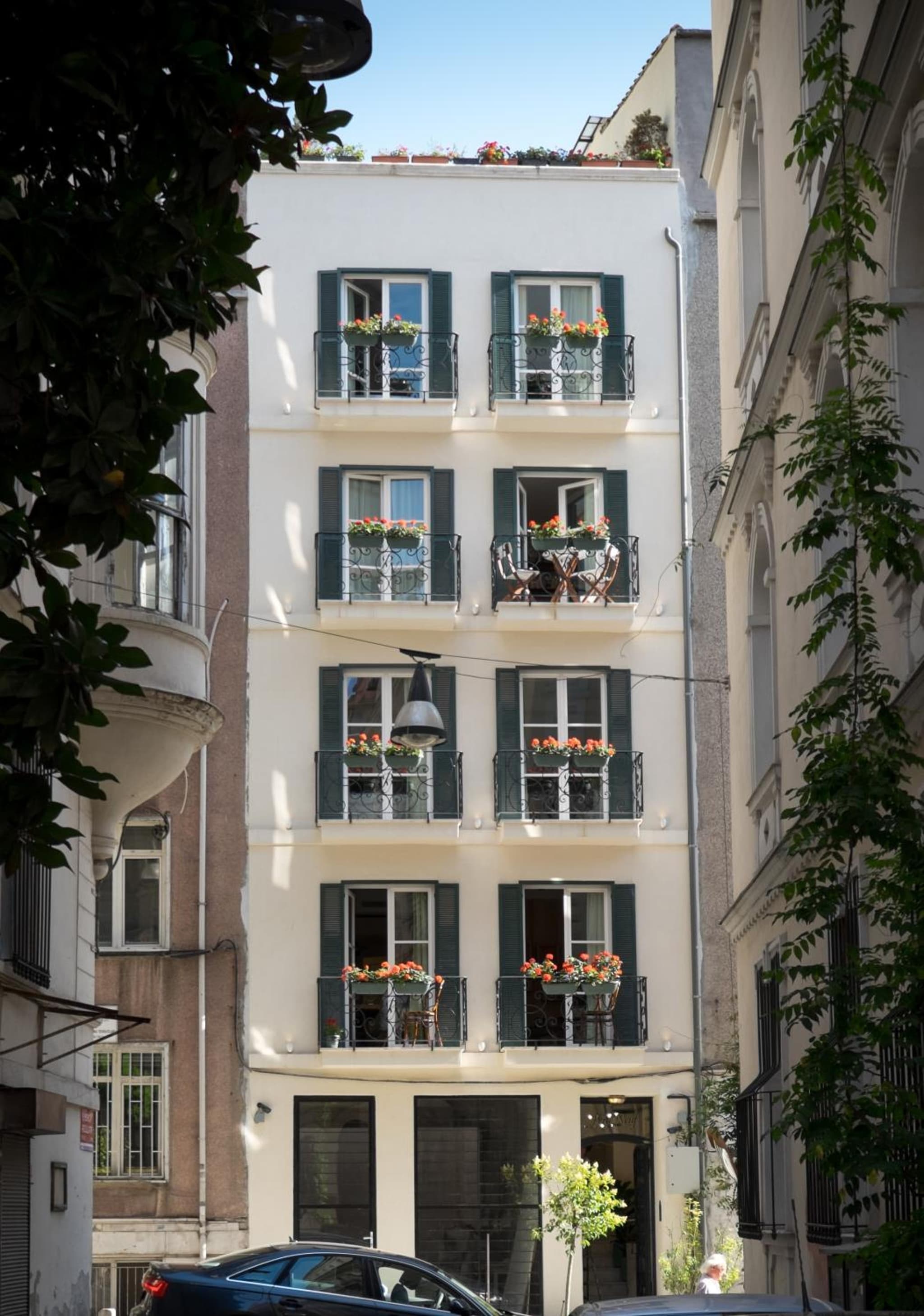 Pera Neuf - Image 1