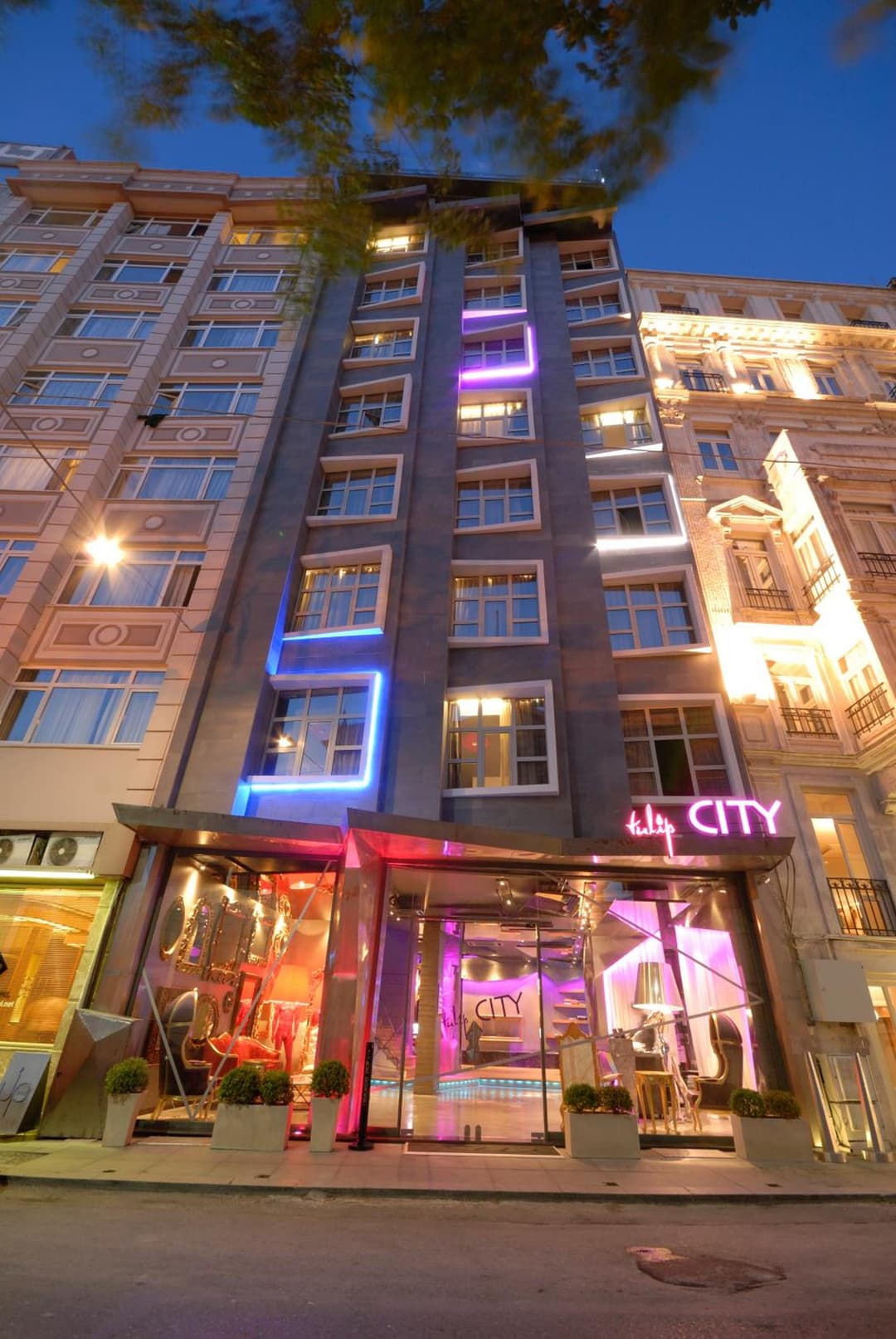 Tulip City Hotel fotoğrafı
