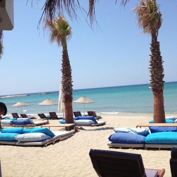 Zeytiny l Tiny Houses & Farm l Çeşme fotoğrafı