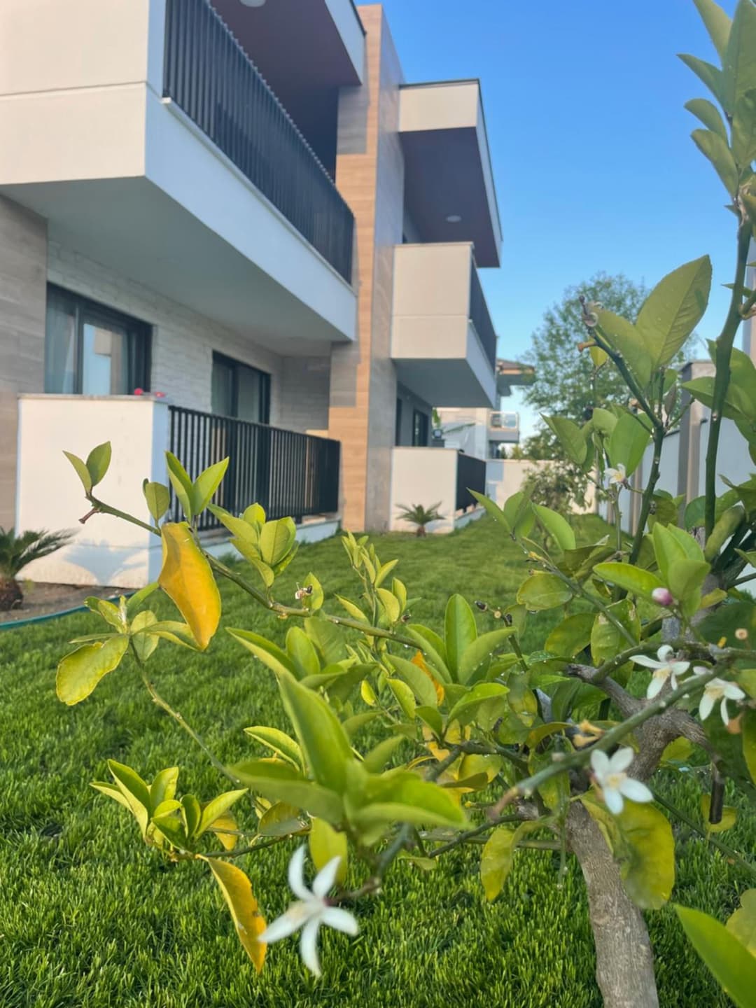 KALİDA APART fotoğrafı