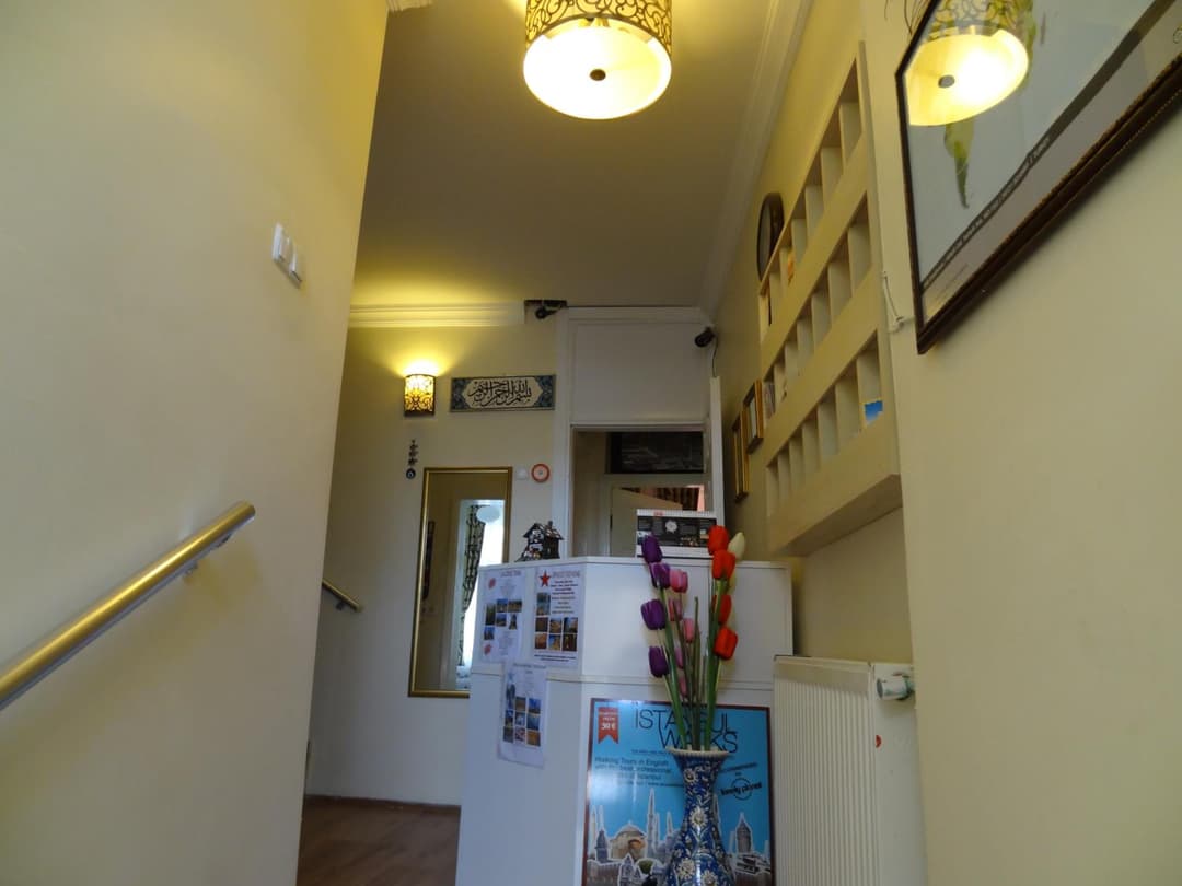 Tulip Guesthouse fotoğrafı