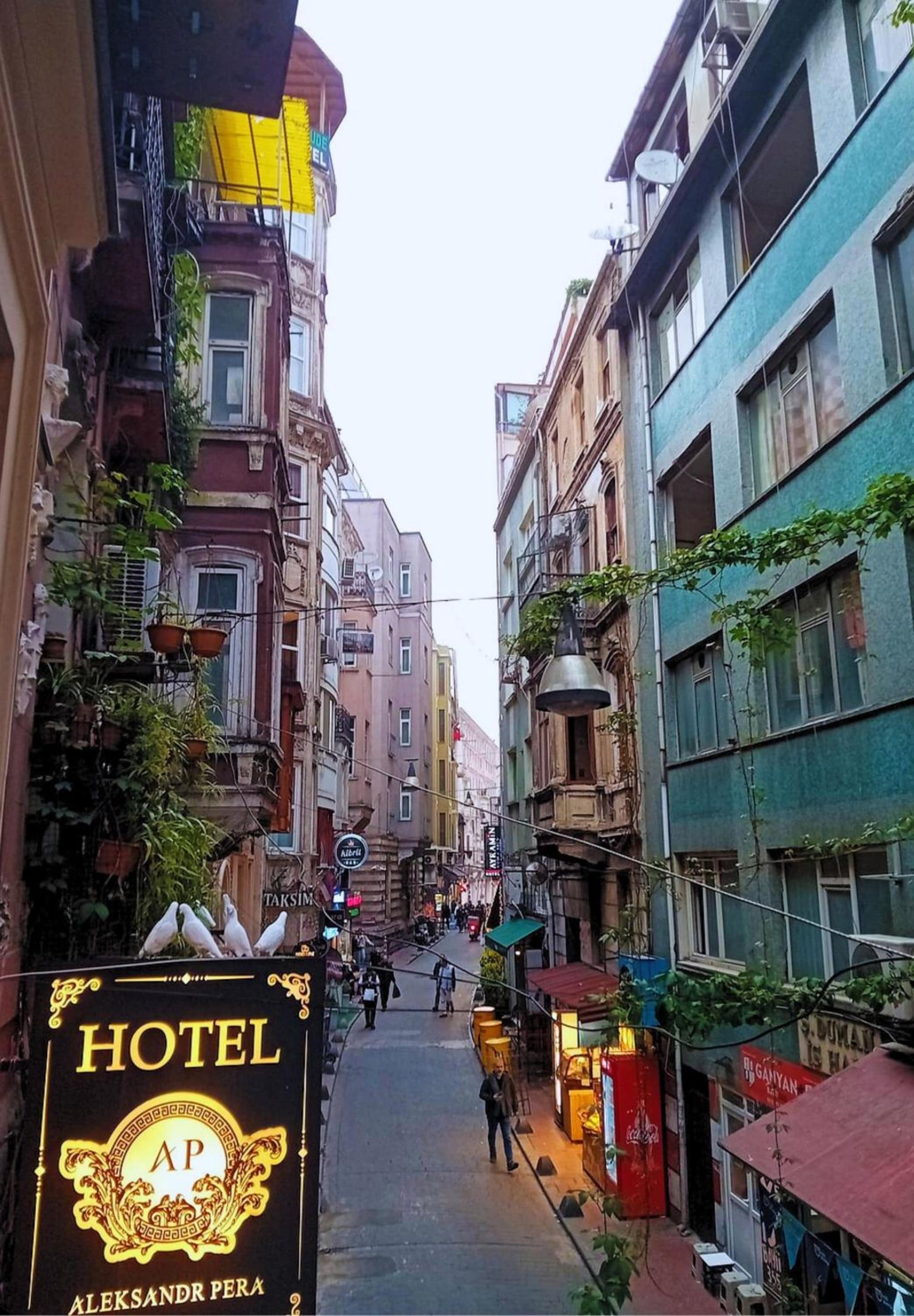 Aleksandr Pera Otel - Image 1